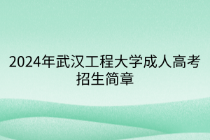 2024年武汉工程大学成人高考招生简章