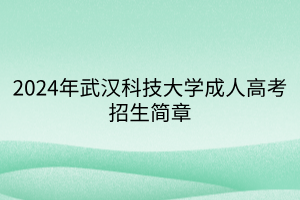 2024年武汉科技大学成人高考招生简章