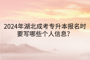 2024年湖北成考专升本报名时要写哪些个人信息？