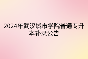 2024年武汉城市学院普通专升本补录公告