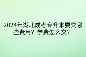 2024年湖北成考专升本要交哪些费用？学费怎么交？