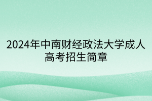 2024年中南财经政法大学成人高考招生简章