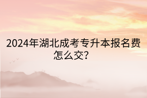 2024年湖北成考专升本报名费怎么交？