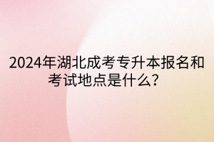 2024年湖北成考专升本报名和考试地点是什么？