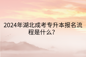 2024年湖北成考专升本报名流程是什么？