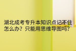 湖北成考专升本知识点记不住怎么办？只能用思维导图吗？