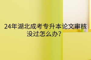 24年湖北成考专升本论文审核没过怎么办？