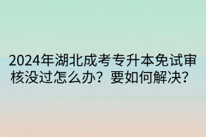 2024年湖北成考专升本免试审核没过怎么办？要如何解决？