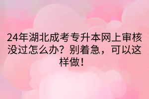 24年湖北成考专升本网上审核没过怎么办？别着急，可以这样做！