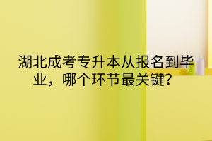 湖北成考专升本从报名到毕业，哪个环节最关键？