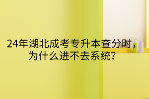 24年湖北成考专升本查分时，为什么进不去系统？