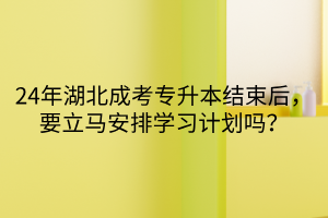 24年湖北成考专升本结束后，要立马安排学习计划吗？