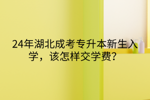 24年湖北成考专升本新生入学，该怎样交学费？