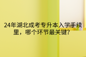 24年湖北成考专升本入学手续里，哪个环节最关键？