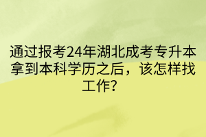 通过报考24年湖北成考专升本拿到本科学历之后，该怎样找工作？