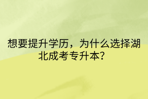 想要提升学历，为什么选择湖北成考专升本？