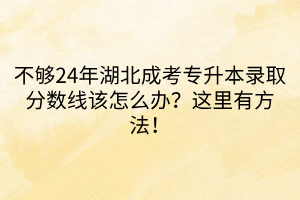 不够24年湖北成考专升本录取分数线该怎么办？这里有方法！