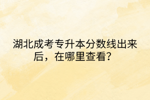 湖北成考专升本分数线出来后，在哪里查看？