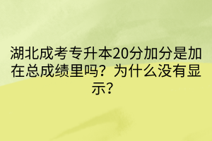 湖北成考专升本20分加分是加在总成绩里吗？为什么没有显示？