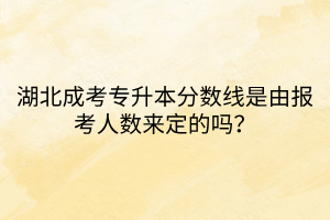 湖北成考专升本分数线是由报考人数来定的吗？