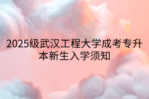 2025级武汉工程大学成考专升本新生入学须知