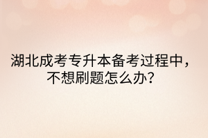 湖北成考专升本备考过程中，不想刷题怎么办？