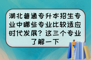 湖北普通专升本招生专业中哪些专业比较适应时代发展？这三个专业了解一下