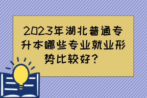 2023年湖北普通专升本哪些专业就业形势比较好？