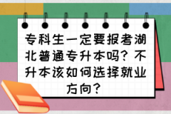 专科生一定要报考湖北普通专升本吗？不升本该如何选择就业方向？