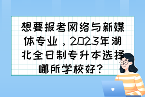 想要报考网络与新媒体专业，2023年湖北全日制专升本选择哪所学校好？