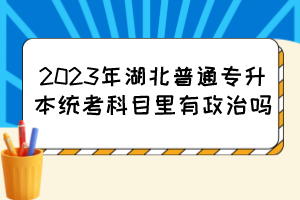 2023年湖北普通专升本统考科目里有政治吗？