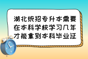 湖北统招专升本需要在本科学校学习几年才能拿到本科毕业证？