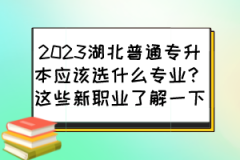 2023湖北普通专升本应该选什么专业？这些新职业了解一下