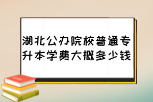 湖北公办院校普通专升本学费大概多少钱？