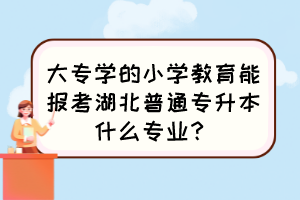 大专学的小学教育能报考湖北普通专升本什么专业？