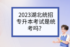 2023湖北统招专升本考试是统考吗？