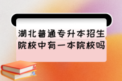 湖北普通专升本招生院校中有一本院校吗？