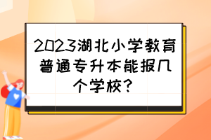 2023湖北小学教育普通专升本能报几个学校？