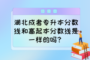 湖北成考专升本分数线和高起本分数线是一样的吗？