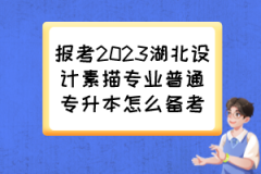 报考2023湖北设计素描专业普通专升本怎么备考？