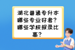 湖北普通专升本哪些专业好考？哪些学校报录比高？