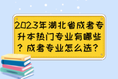 2023年湖北省成考专升本热门专业有哪些？成考专业怎么选？