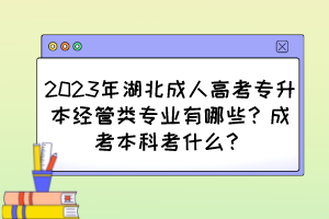 2023年湖北成人高考专升本经管类专业有哪些？成考本科考什么？