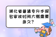 湖北省普通专升本报名审核时间大概需要多久？