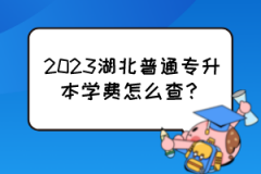 2023湖北普通专升本学费怎么查？