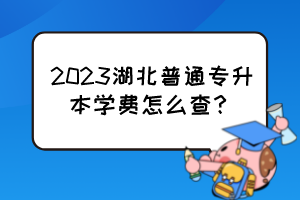 2023湖北普通专升本学费怎么查？