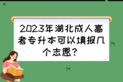 2023年湖北成人高考专升本可以填报几个志愿？