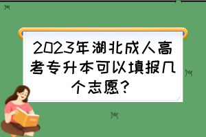 2023年湖北成人高考专升本可以填报几个志愿？