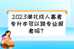 2023湖北成人高考专升本可以跨专业报考吗？