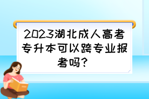 2023湖北成人高考专升本可以跨专业报考吗？